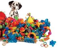 Familypet Vet - dog with pile of toys