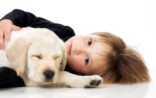 Familypet Vet - child lying with puppy