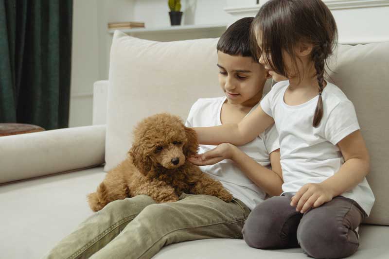 Familypet Vet - kids on couch with puppy